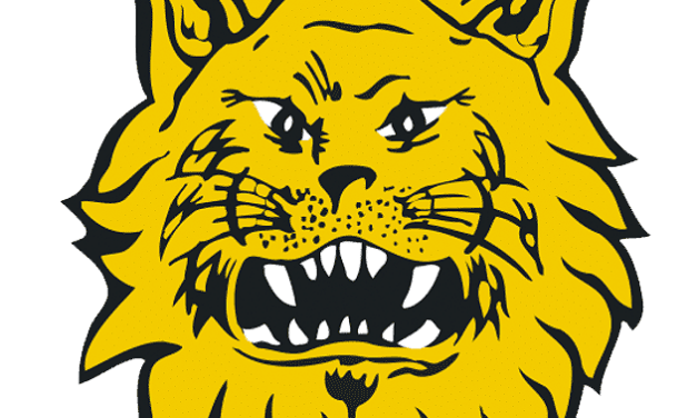 ILVES RY YHTEISTYÖHÖN PIHLAJALINNAN KANSSA