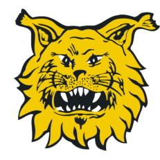 ILVES RY YHTEISTYÖHÖN PIHLAJALINNAN KANSSA